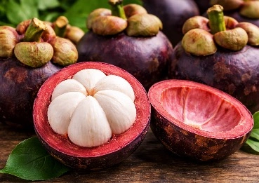MetaBurn Mangosteen metabolic support ingredient