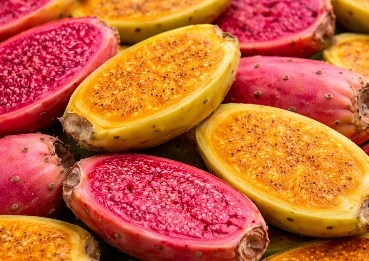MetaBurn Prickly Pear metabolic ingredient
