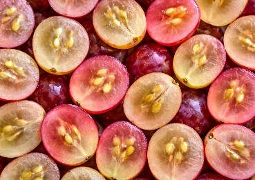 MetaBurn Resveratrol antioxidant ingredient